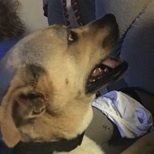 Meet your Posher, Garrett